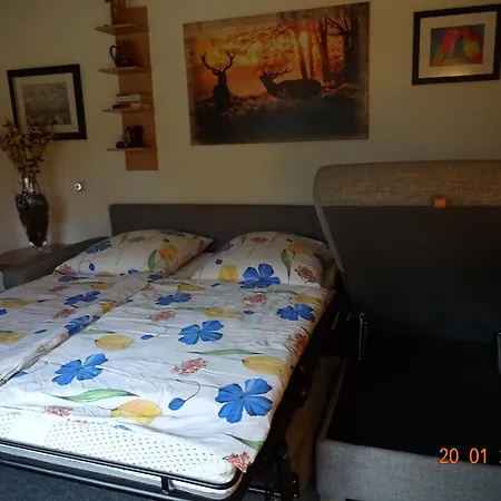 Am Dorfpark Apartment